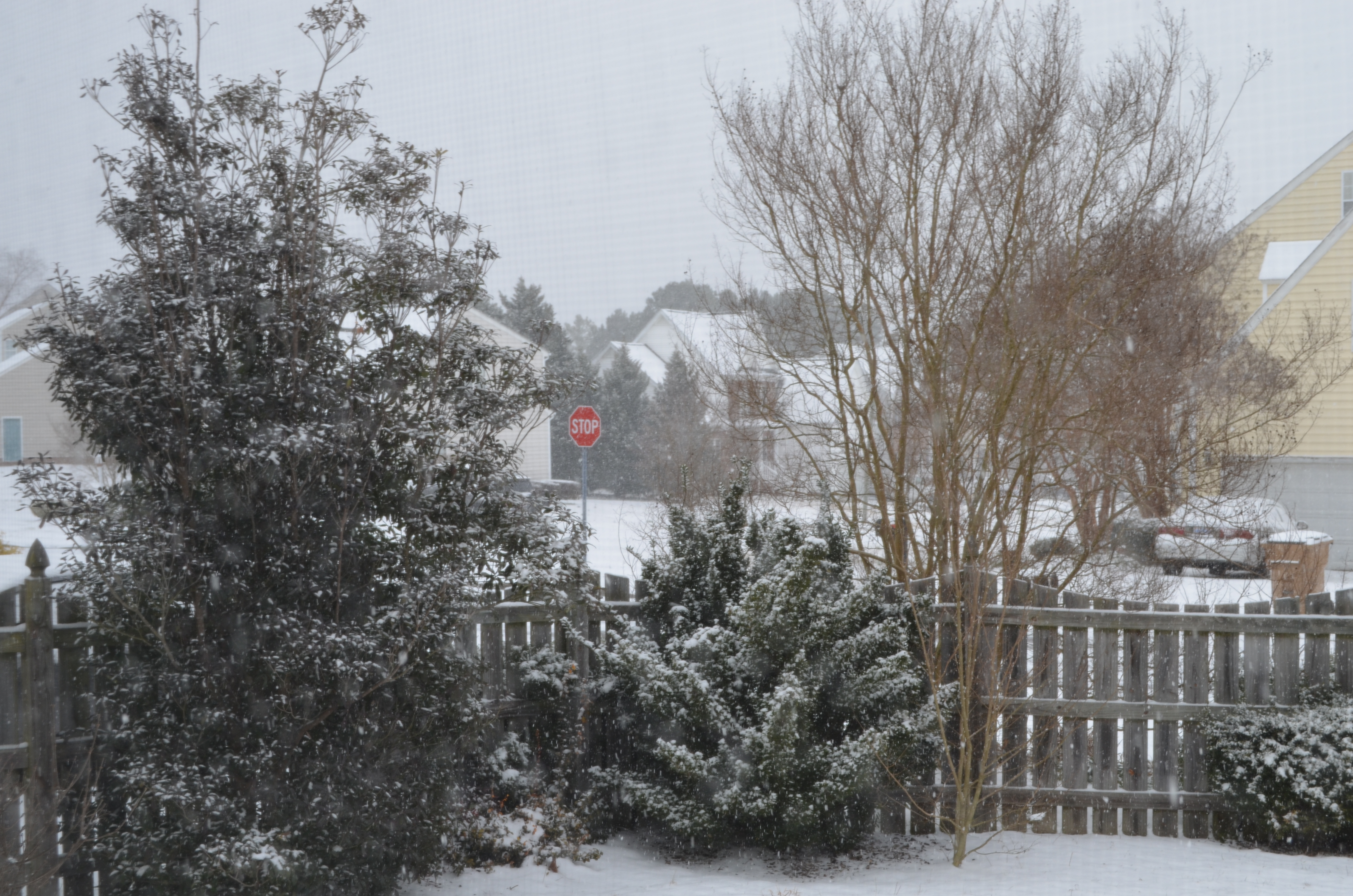 ./2015/03 - Snow/DSC_0389.JPG